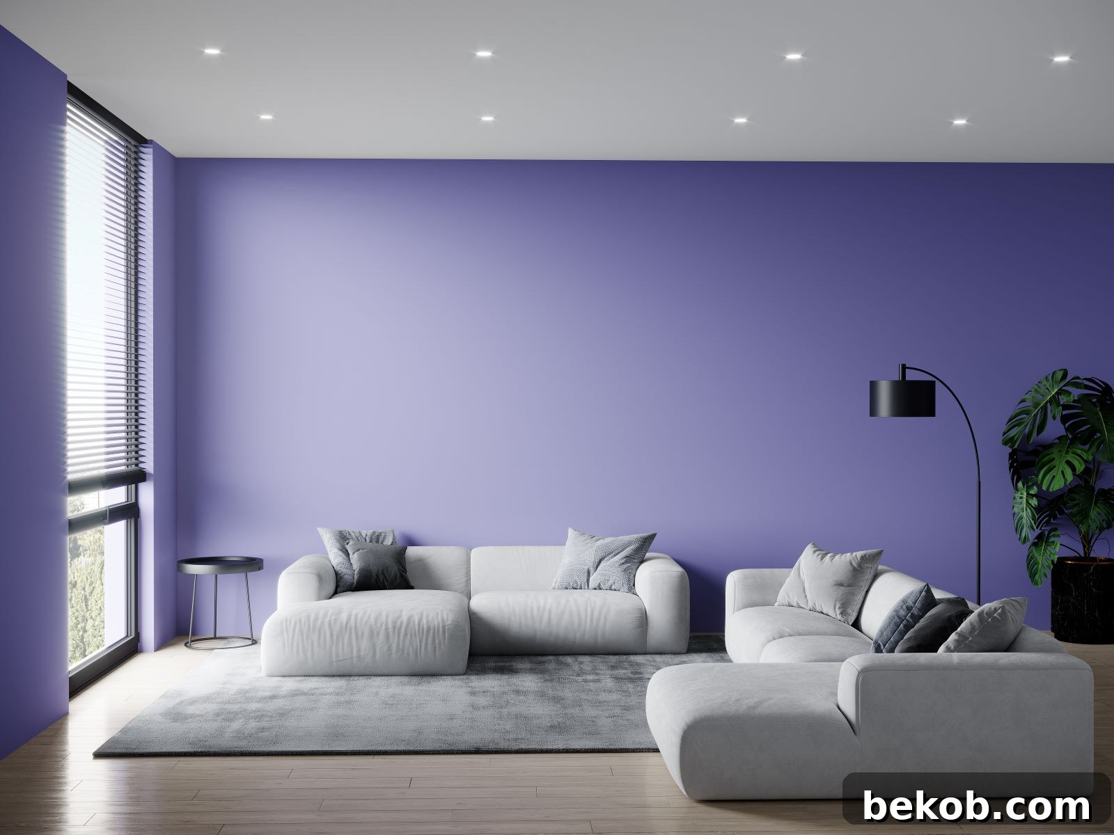Violet And Gray'