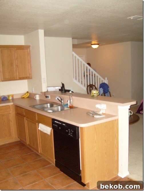 Close-up of the original kitchen sink area with a half-wall and basic dishwasher, highlighting features targeted for renovation.