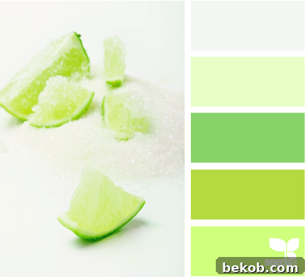 Design Seeds color swatches