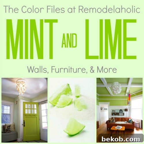 Lime & Mint Color Files inspiration