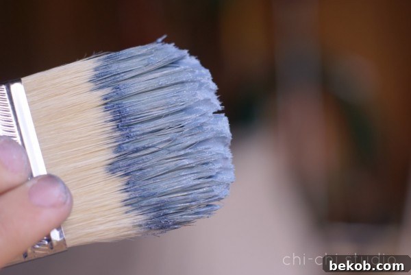 ChiChi Studio brush