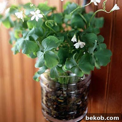 St. Patrick's Day Decor Ideas