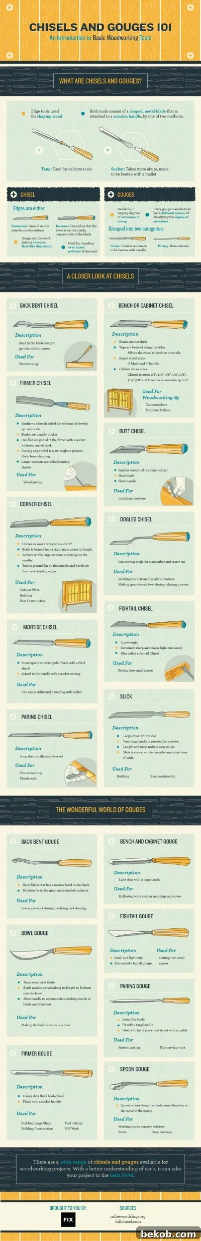Woodworking Tools Infographic