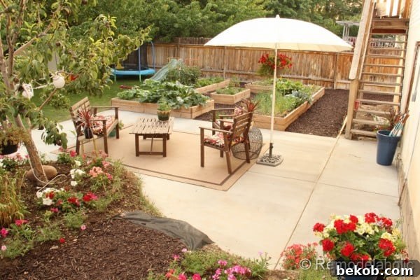 Concrete Patio Detail with Potted Plants