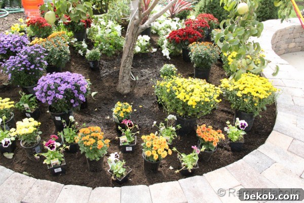 Overhead view of the autumn plant arrangement, highlighting the blend of warm and cool tones for visual interest