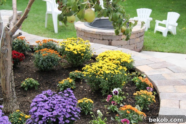 A beautiful close-up of a grouping of colorful fall flowers, highlighting their delicate textures and shades
