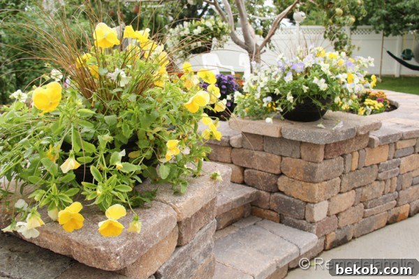 Cool Wave Pansies beautifully arranged by the stairs, adding a welcoming touch of color to the entryway