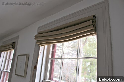 Lined Roman Shades By Jaime Costiglio