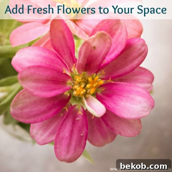 16 Inspiring Summer Makeovers for Your Home and Garden 17 Tips for Seamlessly Bringing the Outdoors Inside Your Home