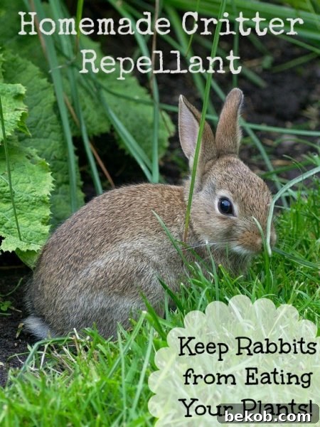 16 Inspiring Summer Makeovers for Your Home and Garden 7 Homemade Critter Repellent Recipe to Protect Your Garden from Pests