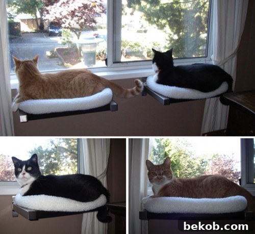 Homemade Havens: 12 DIY Ideas for Happy Felines and Their Families - Bekob