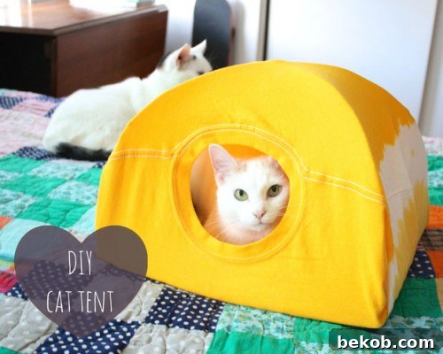 Homemade Havens: 12 DIY Ideas for Happy Felines and Their Families - Bekob