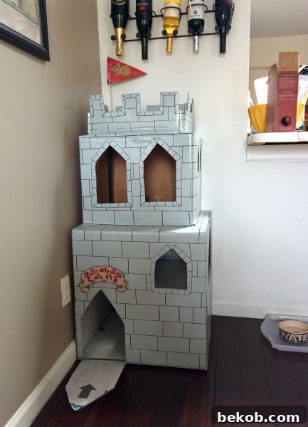 Homemade Havens: 12 DIY Ideas for Happy Felines and Their Families - Bekob
