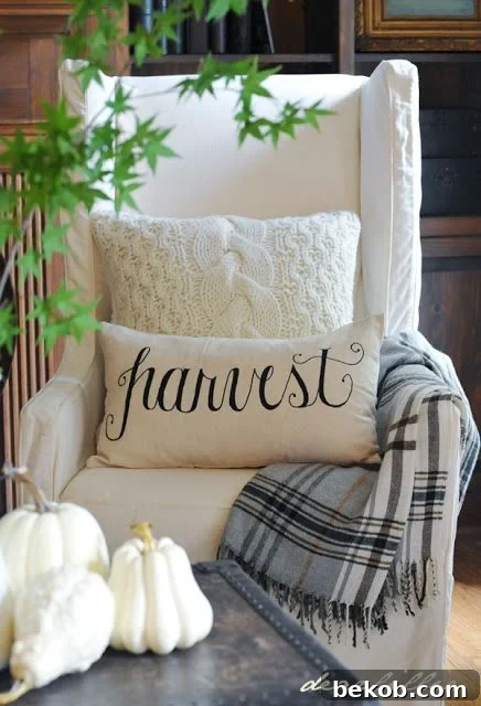 Stylish plaid throw blanket, a perfect addition for fall home decor and warmth