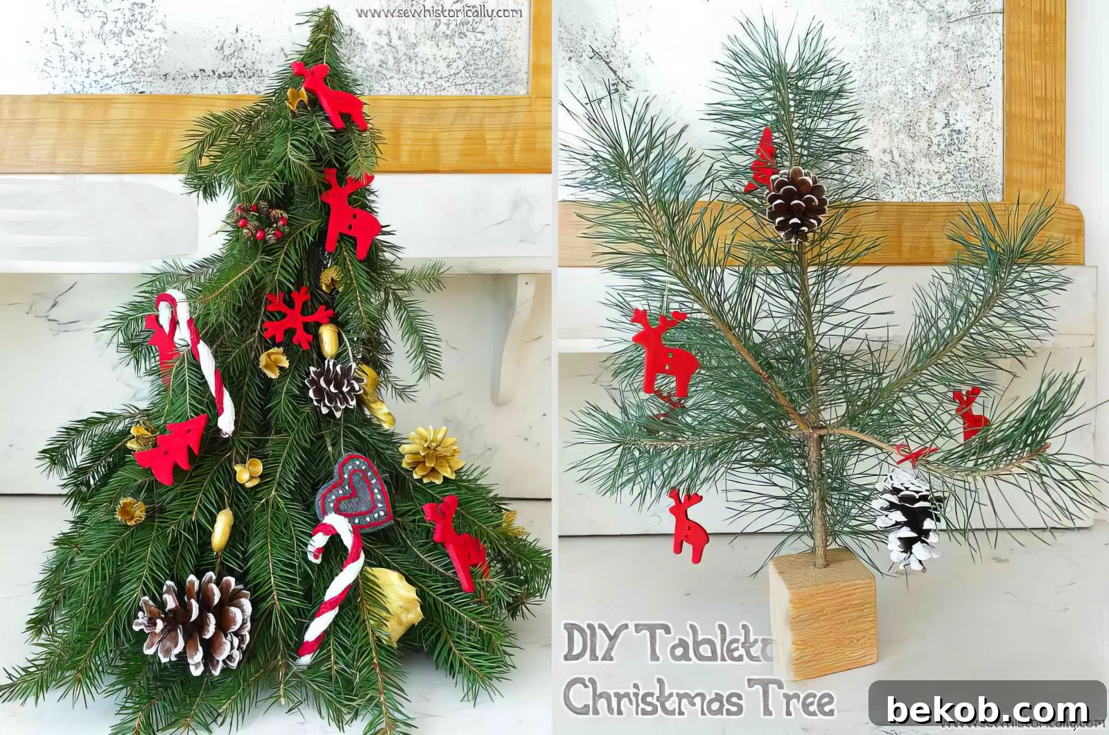 2 Ways To Make DIY Real Mini Christmas Trees From Clippings 2 042615