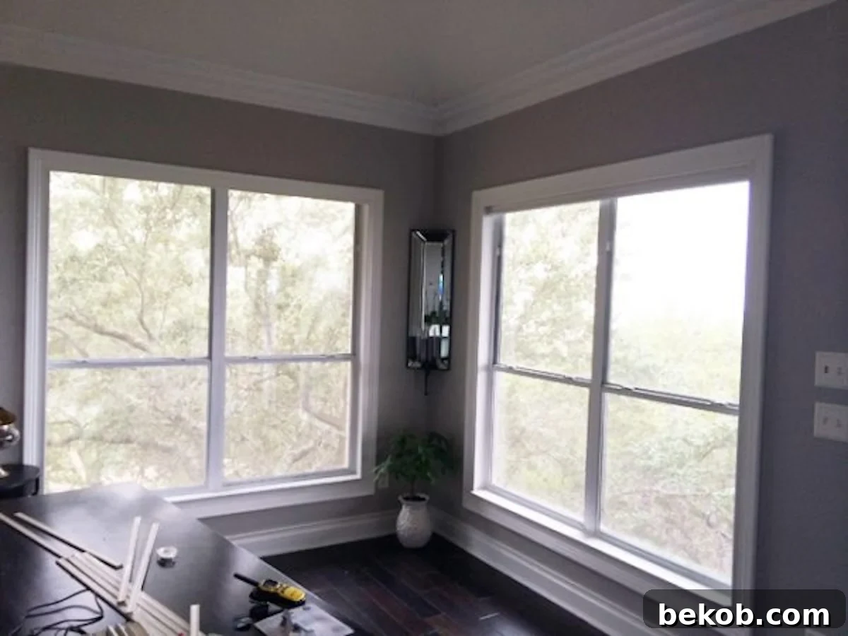 Windows Before DIY Mullion Grids