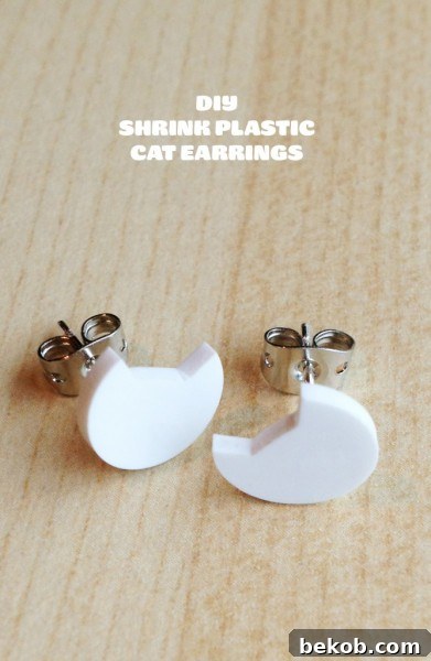 Kitty Studs