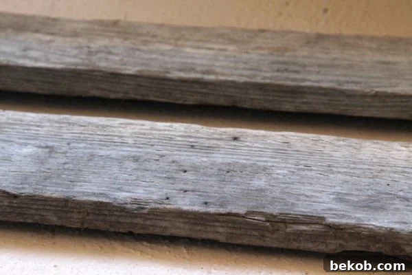 Tools for DIY barnwood frame project