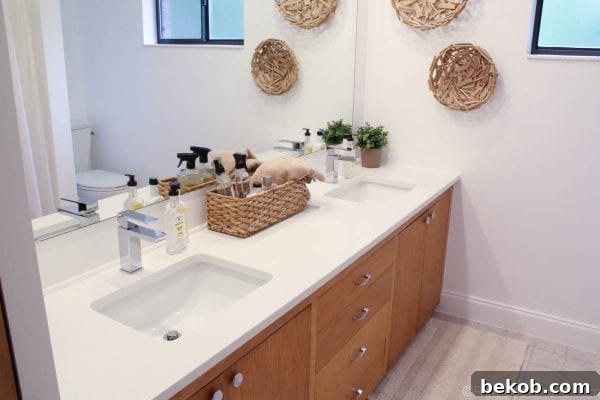 Close-up of new Symmons faucet and sink with natural decor