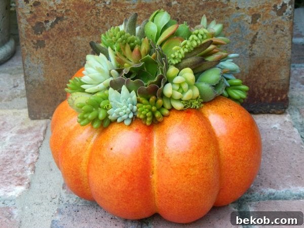 Stunning Pumpkin Centerpieces: Elevate Your Fall Table 21 Succulent pumpkin planter