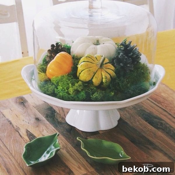 Stunning Pumpkin Centerpieces: Elevate Your Fall Table 10 Pumpkin terrarium under glass cloche