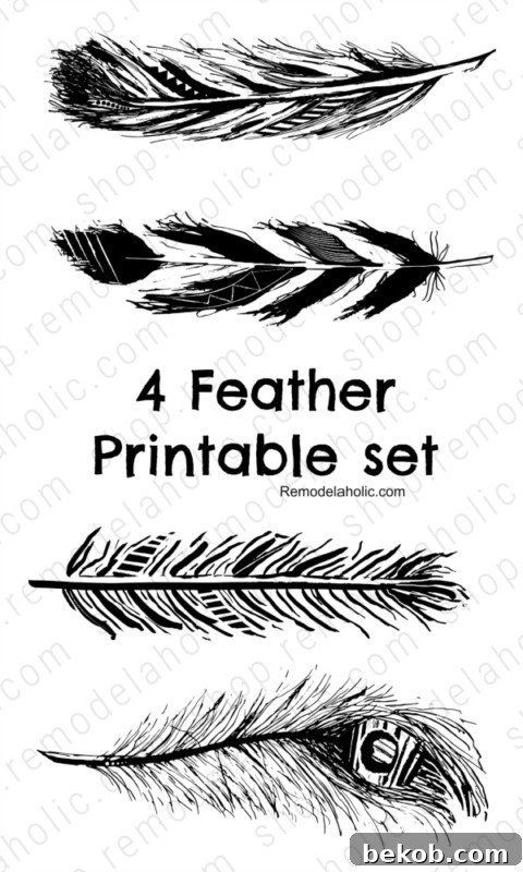 Black Feather Art Printable Hand Drawn Farmhouse Decor, Remodelaholic (1)