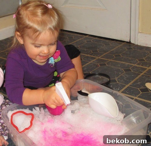Bring the Snow Indoors