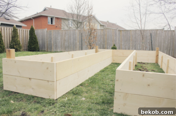U Shaped Raised Garden Bed for large gardens