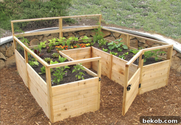 Raised Garden Bed Kit with Gate from Earth Easy
