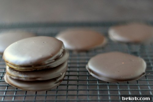 Thin Mint Cookies