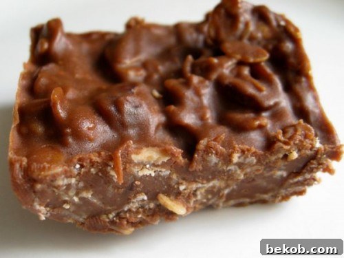 Oatmeal Chocolate Peanut Butter No-Bake Candy Bars