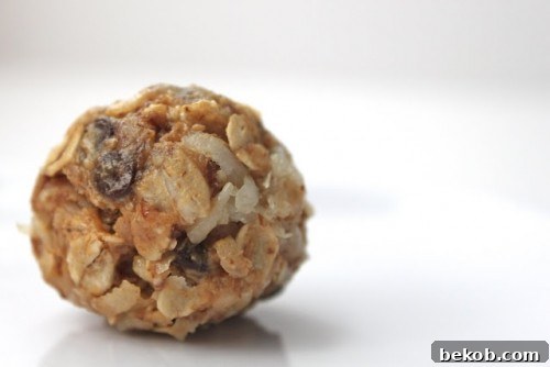 No-Bake Energy Bites
