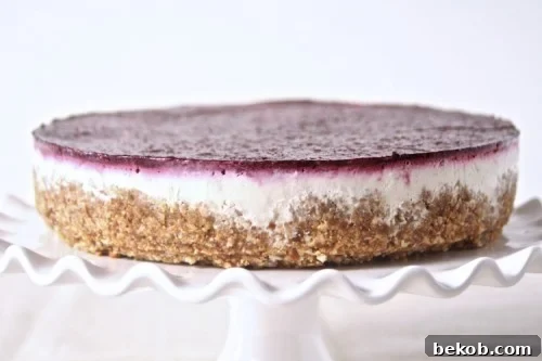 Greek Yogurt and Berry Cheesecake