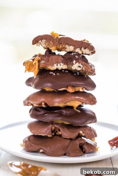 Homemade Turtles