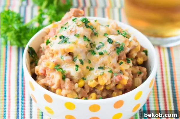 Refried Beans and Rice Skillet - a hearty, comforting, and quick vegetarian meal.
