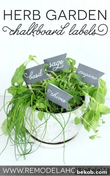 Creating Customizable Chalkboard Signs 15 Free Herb Garden Labels