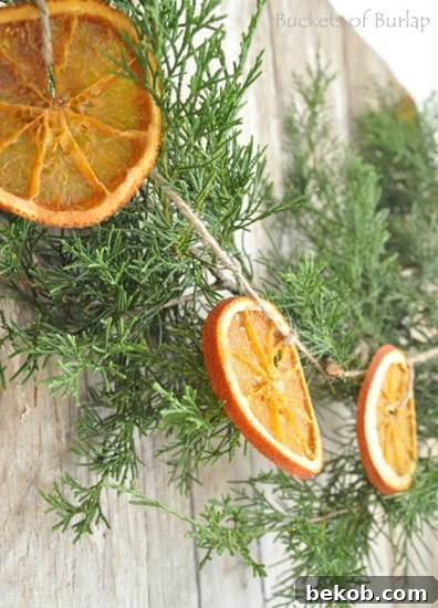 19 Diy Edible Christmas Ornaments Buckets Of Burlap Remodelaholic