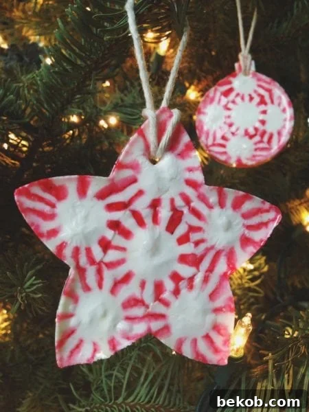 19 Diy Edible Christmas Ornaments Hello Homebody Remodelaholic