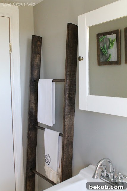 DIY Ladder Tutorial