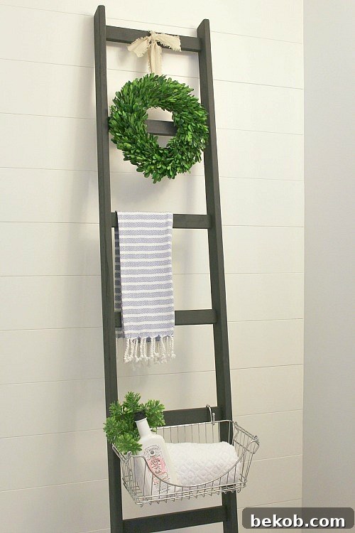 DIY Storage Ladder