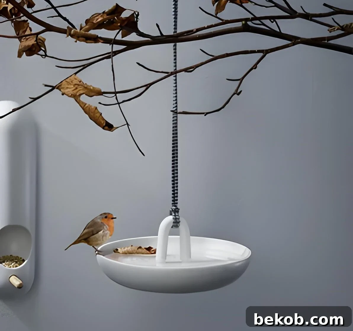 Elegant hanging bird bath with a metal basin and delicate chain suspension.