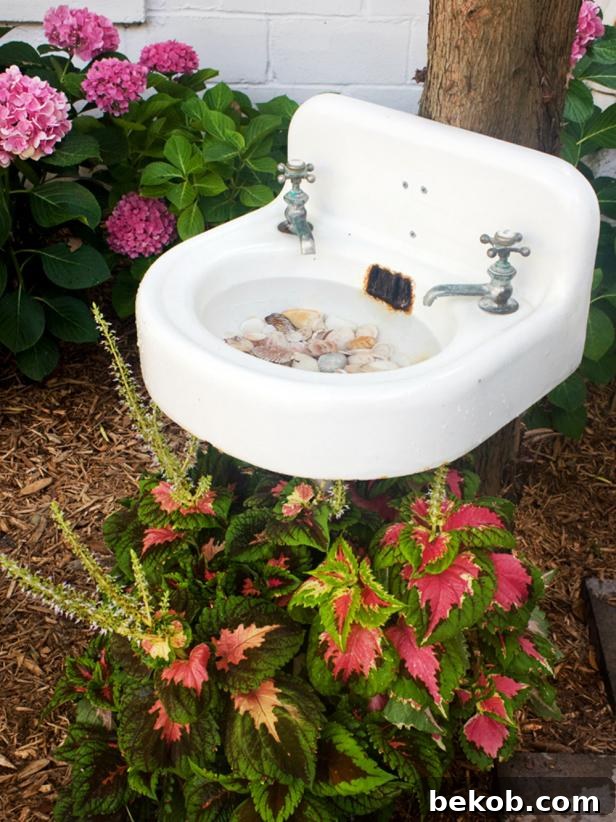 Salvaged old sink repurposed into a unique and sturdy bird bath, mounted directly onto a tree.