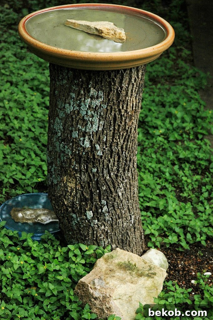 Naturalistic bird bath using a tree stump as a sturdy pedestal for a water basin.