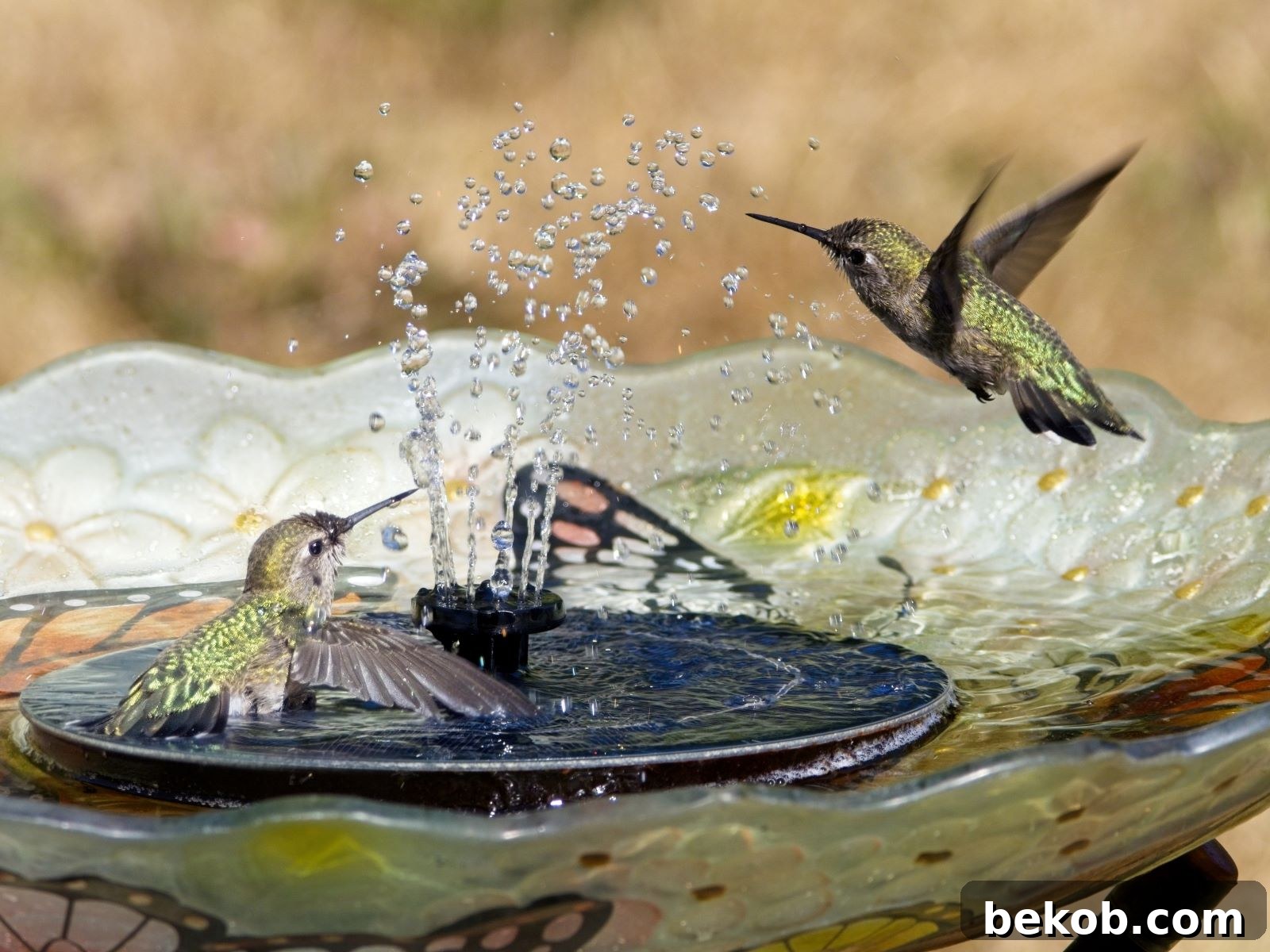 A close-up view of a solar fountain operating within a DIY bird bath, showcasing its serene effect.